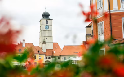 Muzea sztuki współczesnej w Polsce: gdzie zobaczyć unikatowe zbiory malarstwa, instalacji i fotografii