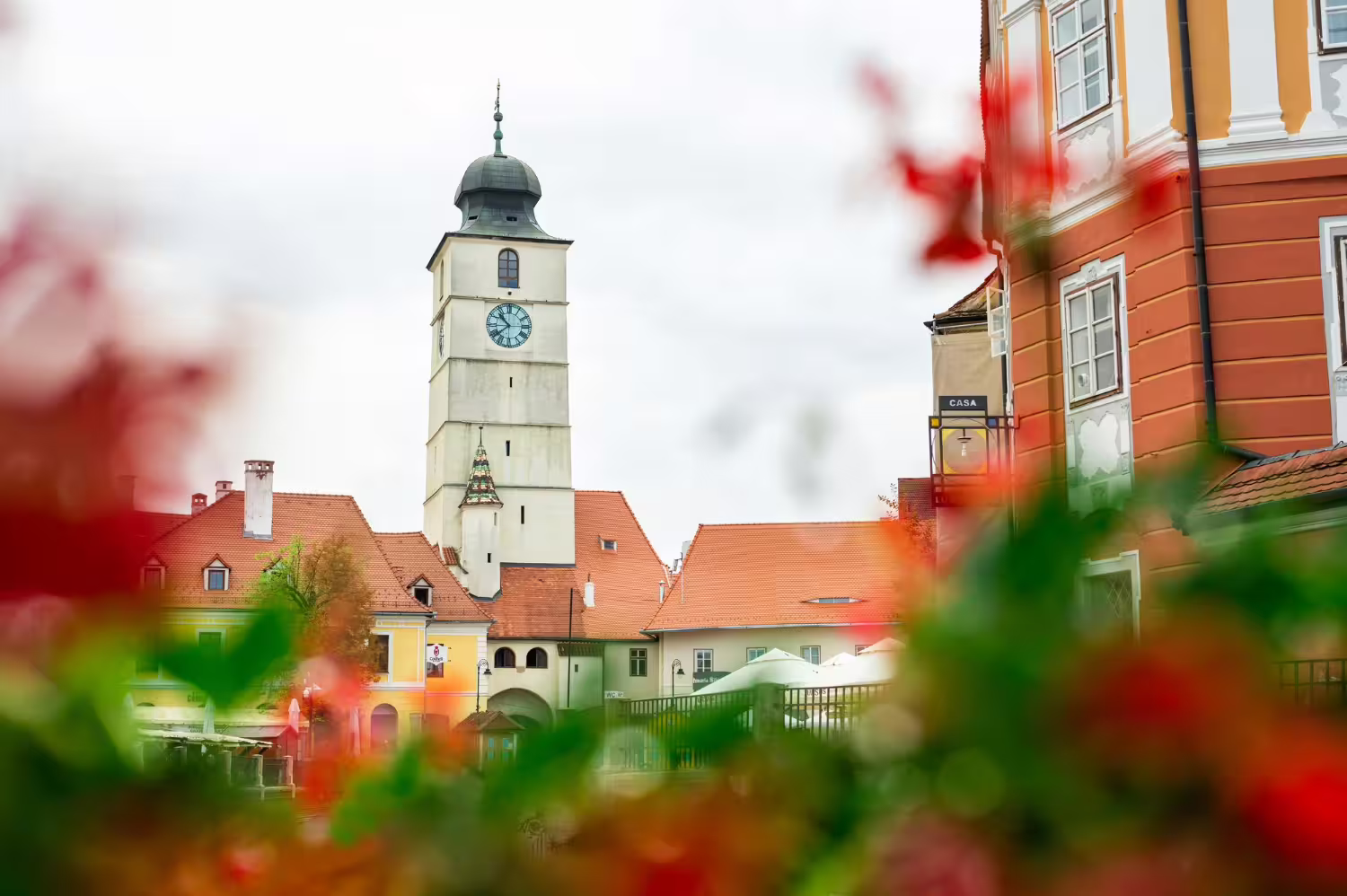 Wycieczki rowerowe Szczecin: Odkryj piękno regionu na dwóch kółkach - 1